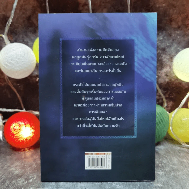 วาบิ ผู้พิทักษ์แห่งรัตติกาล Wabi A Hero's Tale - โจเซฟ บรูแชก รูปที่ 4