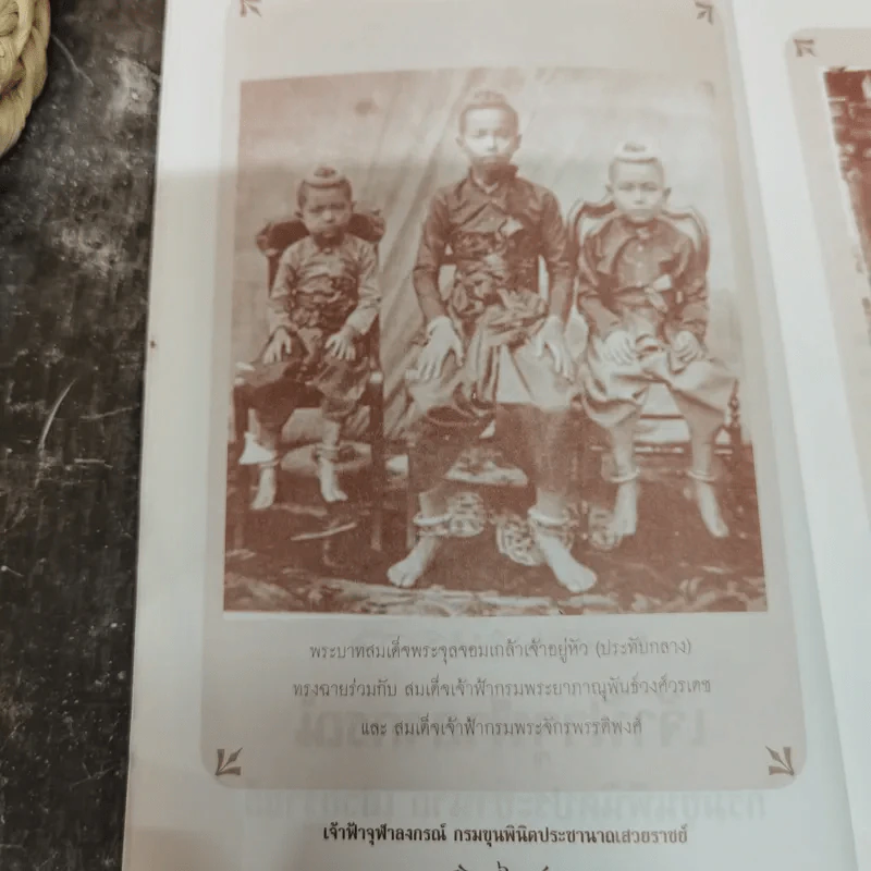 เจ้าฟ้าจุฬาลงกรณ์ กรมขุนพินิตประชานาถ เสวยราชย์ - อนันต์ อมรรตัย รูปที่ 8