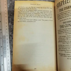 Song of Susannah The Dark Tower - Stephen King รูปที่ 9
