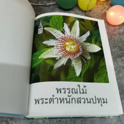 พรรณไม้พระตำหนักสวนปทุม รูปที่ 5