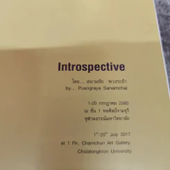 Introspective - สนามชัย พวงระย้า รูปที่ 5