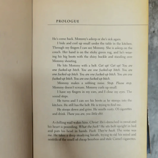 Fifty Shades of Grey ฟิฟตี้ เชดส์ 3 เล่มจบ (ฉบับภาษาอังกฤษ) รูปที่ 9