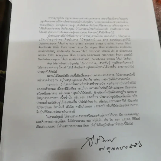 พรรณไม้พระตำหนักสวนปทุม รูปที่ 7