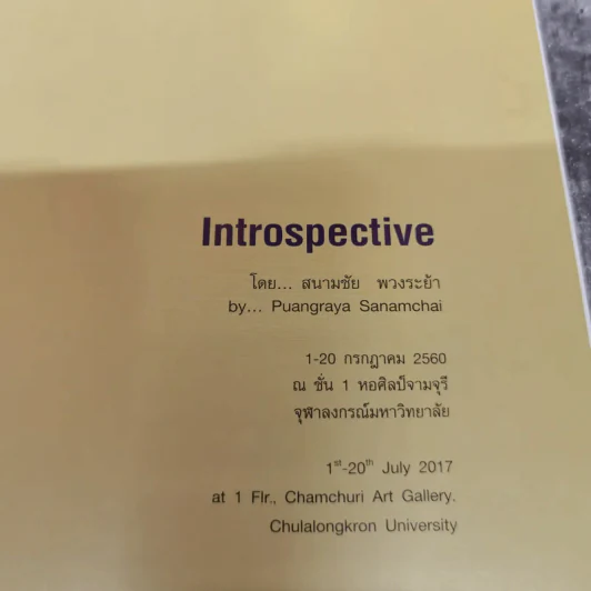 Introspective - สนามชัย พวงระย้า รูปที่ 5