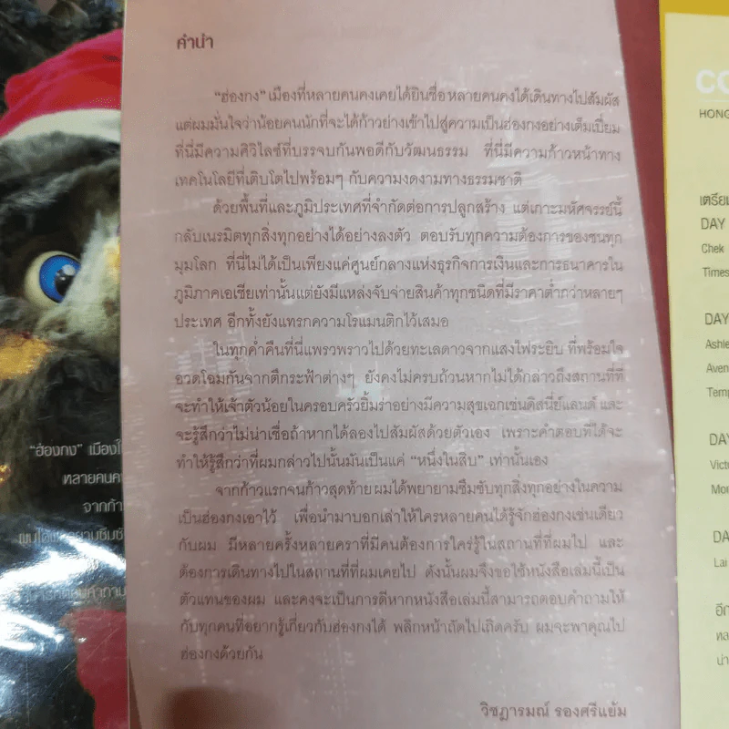 เที่ยวไม่ง้อทัวร์ ตีตั๋วตะลุยฮ่องกง รูปที่ 7