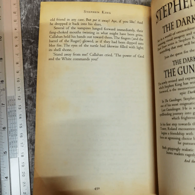 Song of Susannah The Dark Tower - Stephen King รูปที่ 9