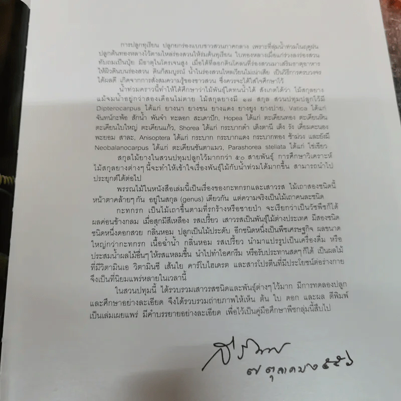 พรรณไม้พระตำหนักสวนปทุม รูปที่ 7