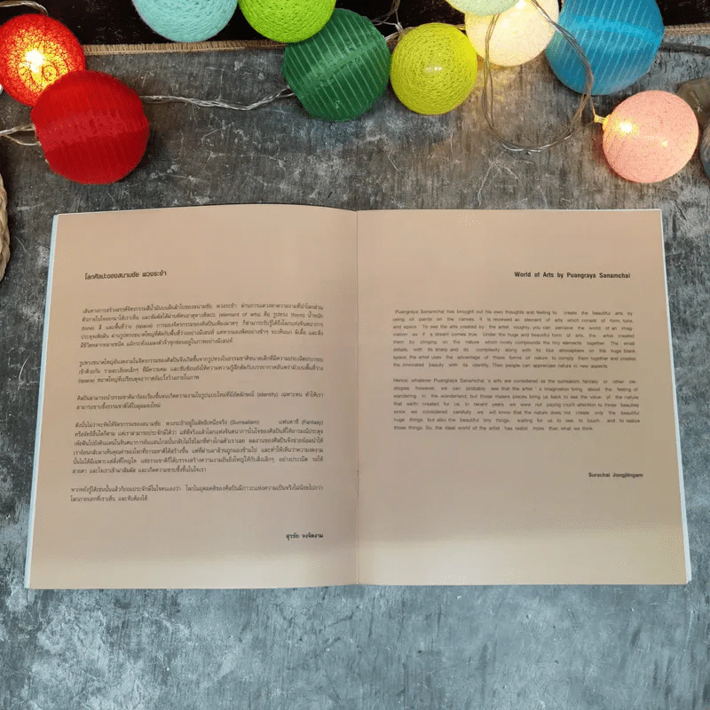 Introspective - สนามชัย พวงระย้า รูปที่ 7