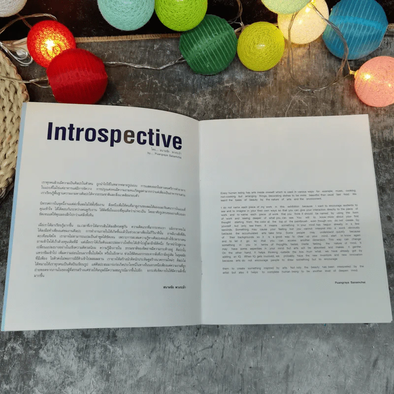 Introspective - สนามชัย พวงระย้า รูปที่ 6