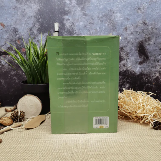 นางบาป - กิ่งฉัตร รูปที่ 4