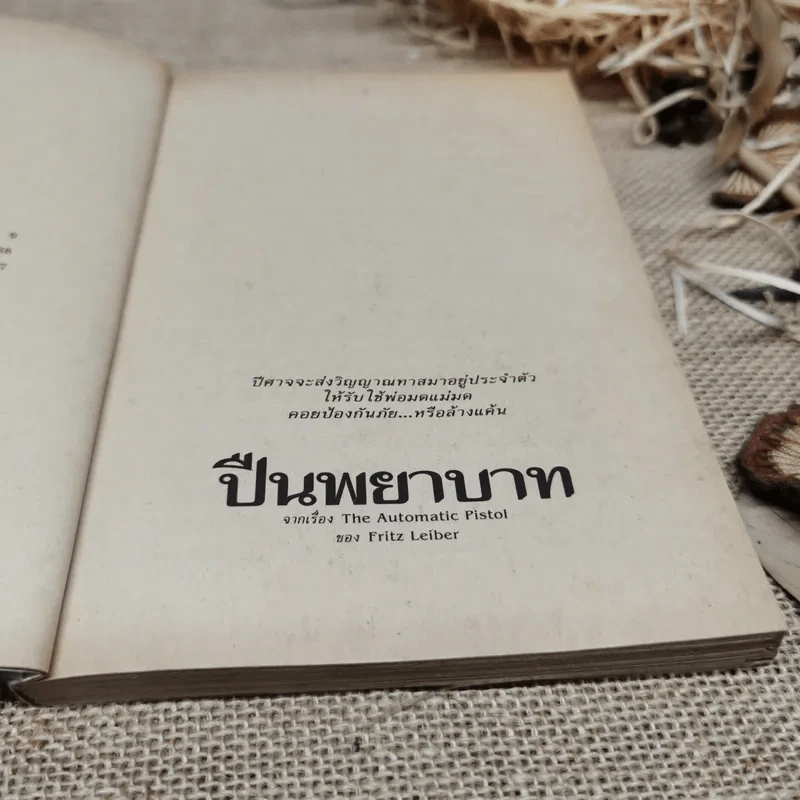 ลึกลับนักสืบ 3 - นพดล เวชสวัสดิ์ แปล รูปที่ 8