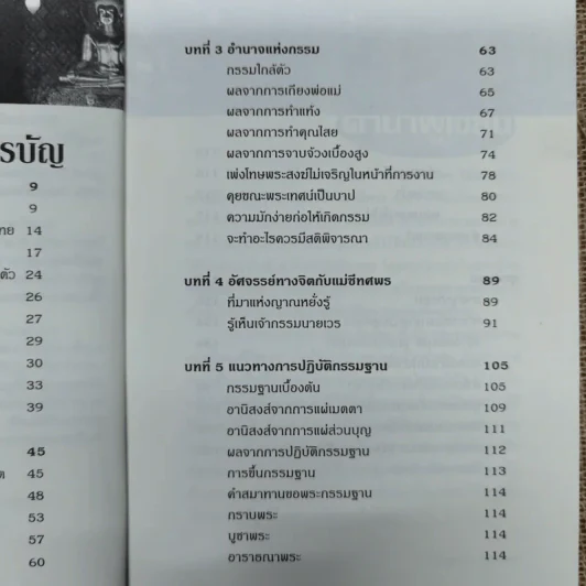 เกิดแต่กรรม 4 108 อัศจรรย์กรรม - แม่ชีทศพร ชัยประคอง รูปที่ 8