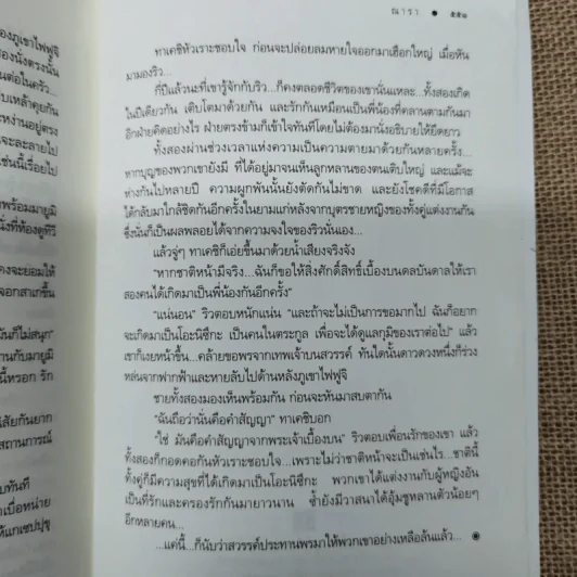 Rising Sun สายเลือดแดนตะวัน - ณารา รูปที่ 8