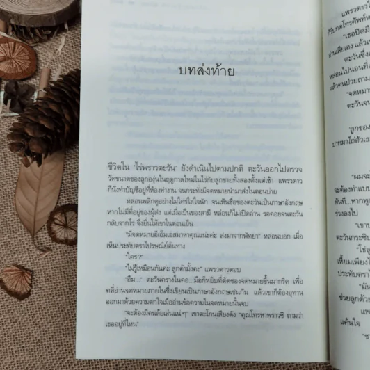 รอยหักหักเหลี่ยมตะวัน - ณารา รูปที่ 9