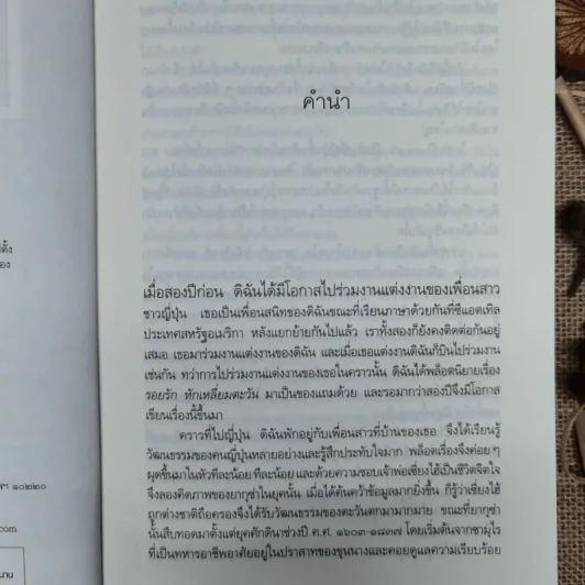 รอยหักหักเหลี่ยมตะวัน - ณารา รูปที่ 7