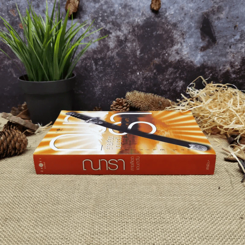 Rising Sun สายเลือดแดนตะวัน - ณารา รูปที่ 2