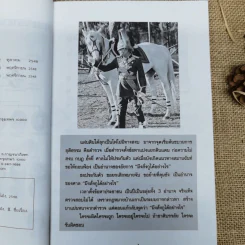 คมเสธแดง ภาค 6 - ยะ ยี่เอ๋ง รูปที่ 8