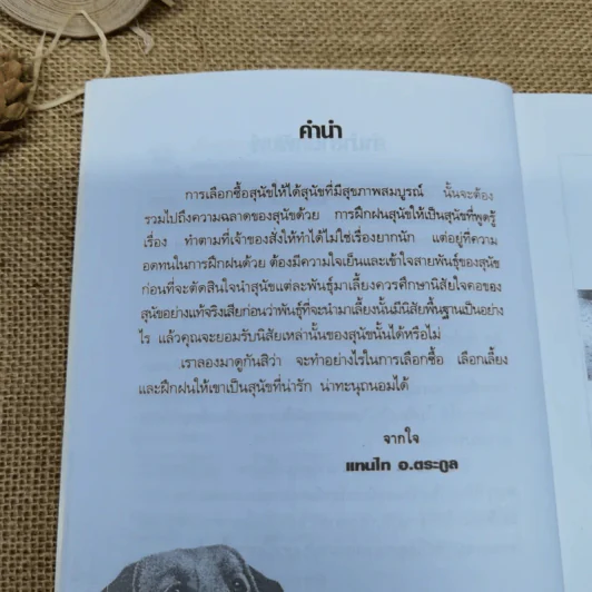 เลี้ยงสุนัขอย่างไรให้แสนรู้ - แทนไท อ.ตระกูล รูปที่ 7