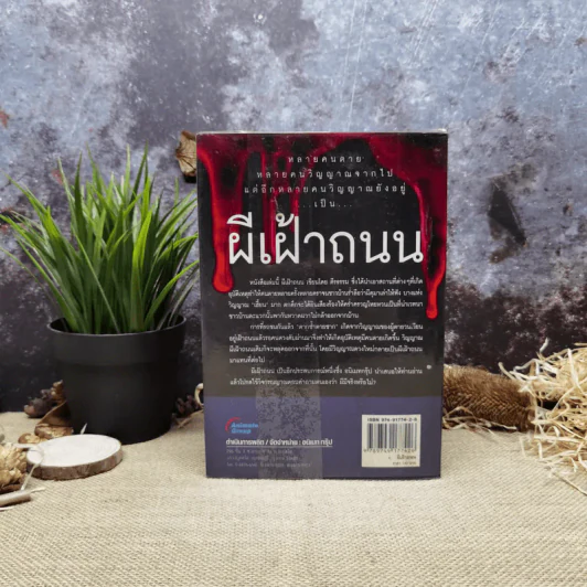 ผีเฝ้าถนน - ตีรธรรม รูปที่ 5