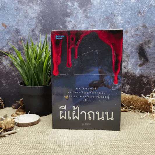ผีเฝ้าถนน - ตีรธรรม รูปที่ 1