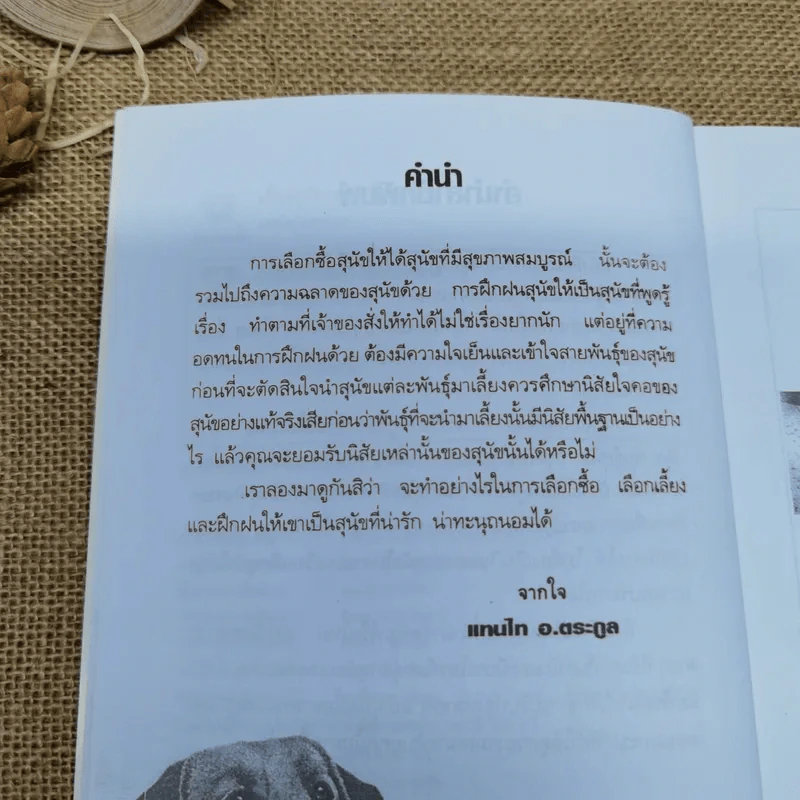 เลี้ยงสุนัขอย่างไรให้แสนรู้ - แทนไท อ.ตระกูล รูปที่ 7