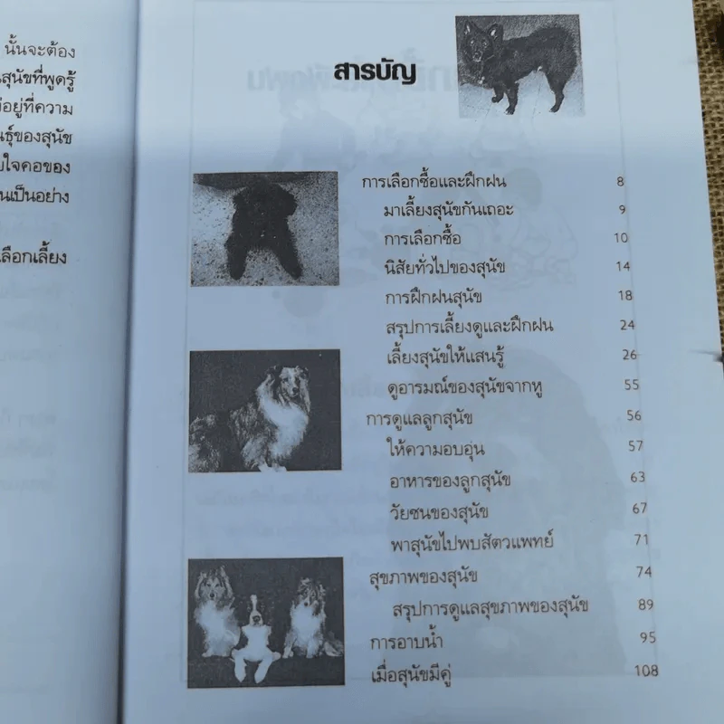 เลี้ยงสุนัขอย่างไรให้แสนรู้ - แทนไท อ.ตระกูล รูปที่ 8