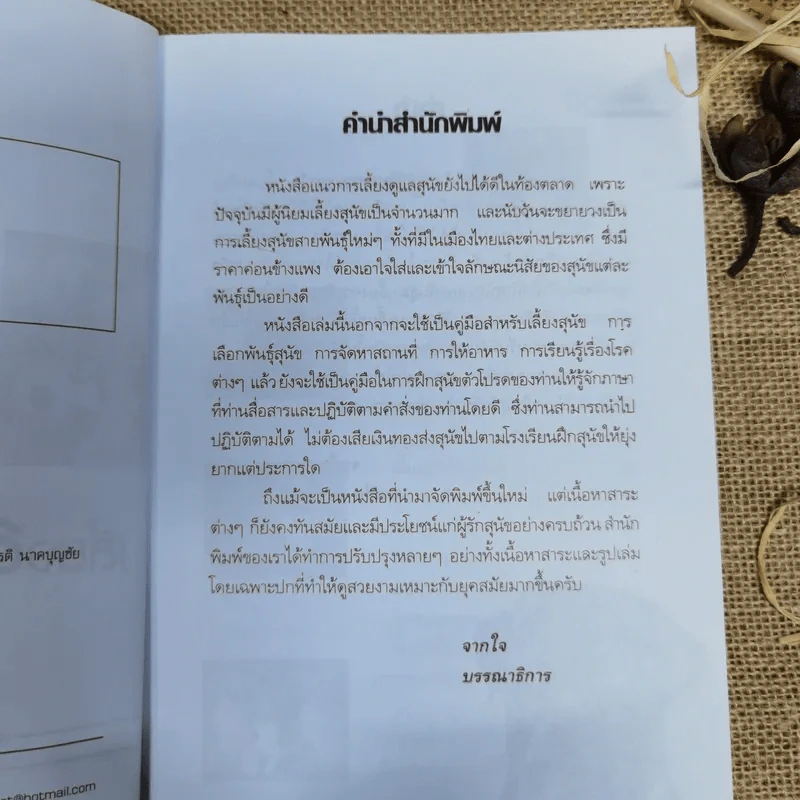 เลี้ยงสุนัขอย่างไรให้แสนรู้ - แทนไท อ.ตระกูล รูปที่ 6
