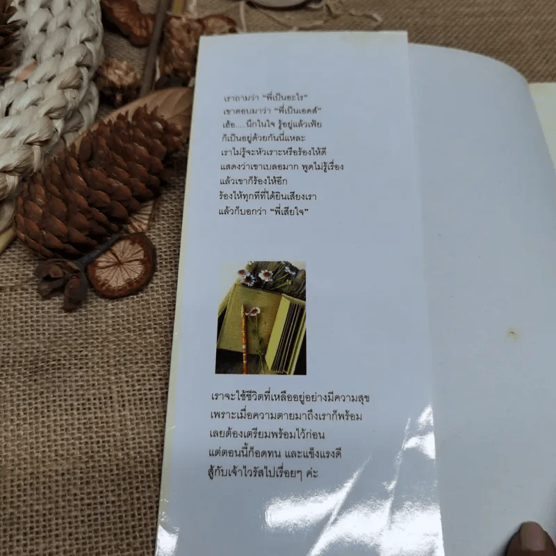 เอดส์ไดอารี่ วินาทีชีวิต - แก้ว รูปที่ 5