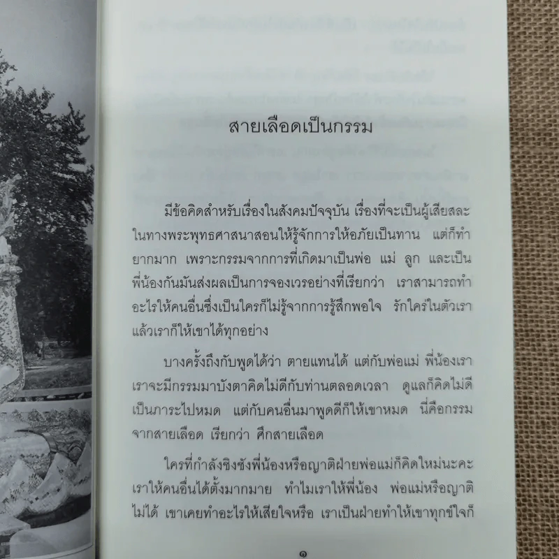 แม่ชีทศพร เทวาพิทักษ์ธรรม เล่ม 1-2 รูปที่ 10