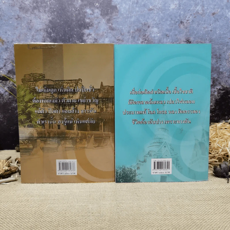 แม่ชีทศพร เทวาพิทักษ์ธรรม เล่ม 1-2 รูปที่ 4