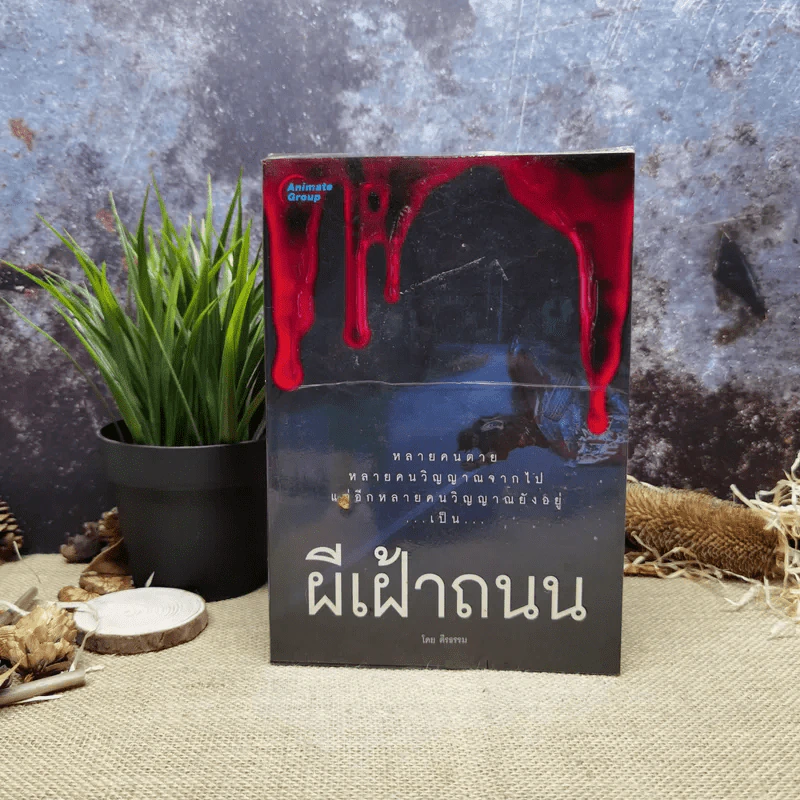 ผีเฝ้าถนน - ตีรธรรม รูปที่ 1