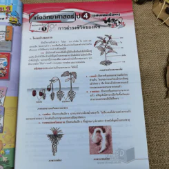 เก่งวิทยาศาสตร์ ป.4-5-6 รูปที่ 8