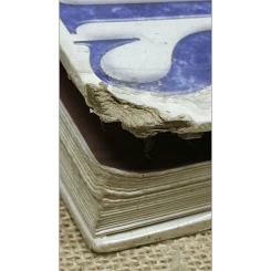สุนัข คู่มือแนะนำสุนัขพันธุ์ต่างๆมากกว่า 300 พันธุ์จากทั่วโลก รูปที่ 14
