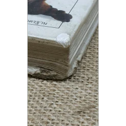 สุนัข คู่มือแนะนำสุนัขพันธุ์ต่างๆมากกว่า 300 พันธุ์จากทั่วโลก รูปที่ 13
