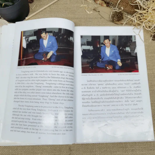 เรื่อง ทองแดง The Story of Tongdaeng (ปกแข็ง) รูปที่ 16