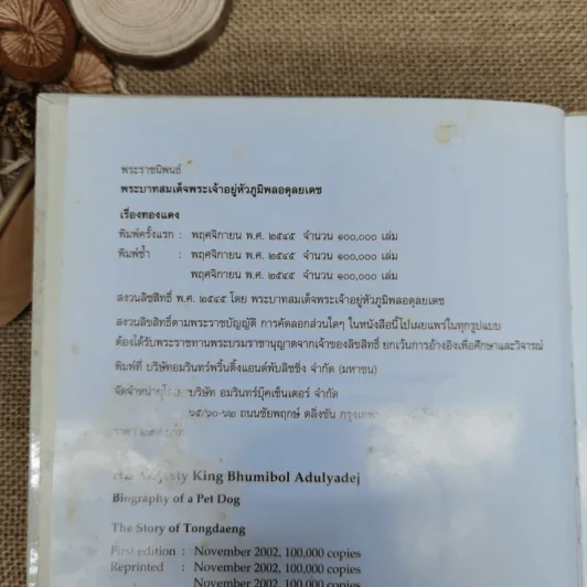 เรื่อง ทองแดง The Story of Tongdaeng (ปกแข็ง) รูปที่ 8