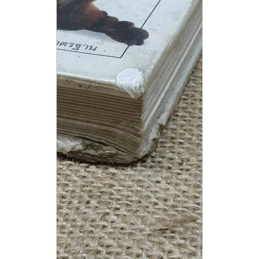 สุนัข คู่มือแนะนำสุนัขพันธุ์ต่างๆมากกว่า 300 พันธุ์จากทั่วโลก รูปที่ 13