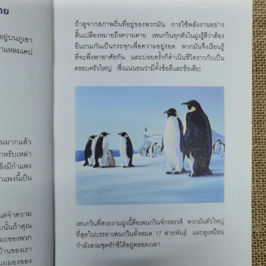 เมื่อทุกอย่างปกติดีก็ถึงเวลาที่ต้องเปลี่ยนแปลง Our Iceberg Is Melting - John Kotter, Holger Rathgeber รูปที่ 12