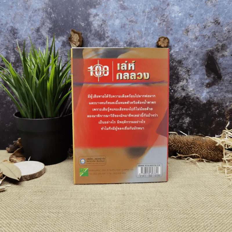 100 เล่ห์กลลวง - ทรรศน์ ธัญญ่า รูปที่ 3