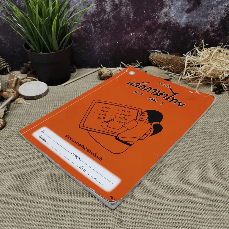 แบบฝึกหลักภาษาไทย ป.1 เล่ม 1 รูปที่ 3