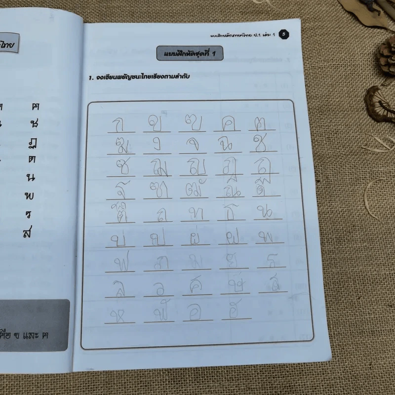 แบบฝึกหลักภาษาไทย ป.1 เล่ม 1 รูปที่ 9