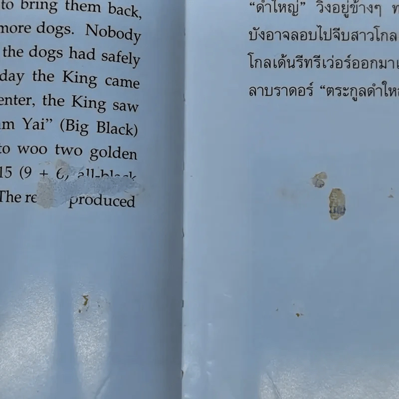 เรื่อง ทองแดง The Story of Tongdaeng (ปกแข็ง) รูปที่ 13