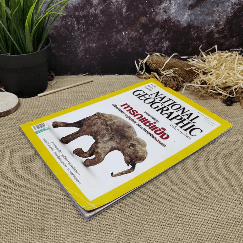 National Geographic ฉบับที่ 94 พ.ย.2552 รูปที่ 6