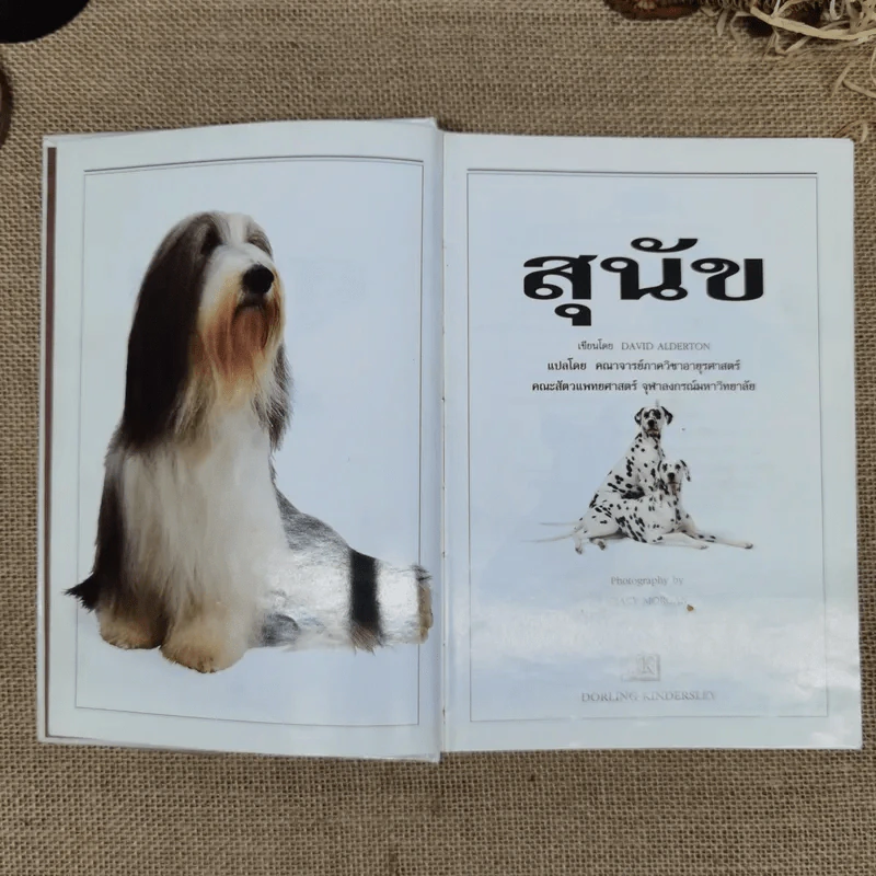 สุนัข คู่มือแนะนำสุนัขพันธุ์ต่างๆมากกว่า 300 พันธุ์จากทั่วโลก รูปที่ 5