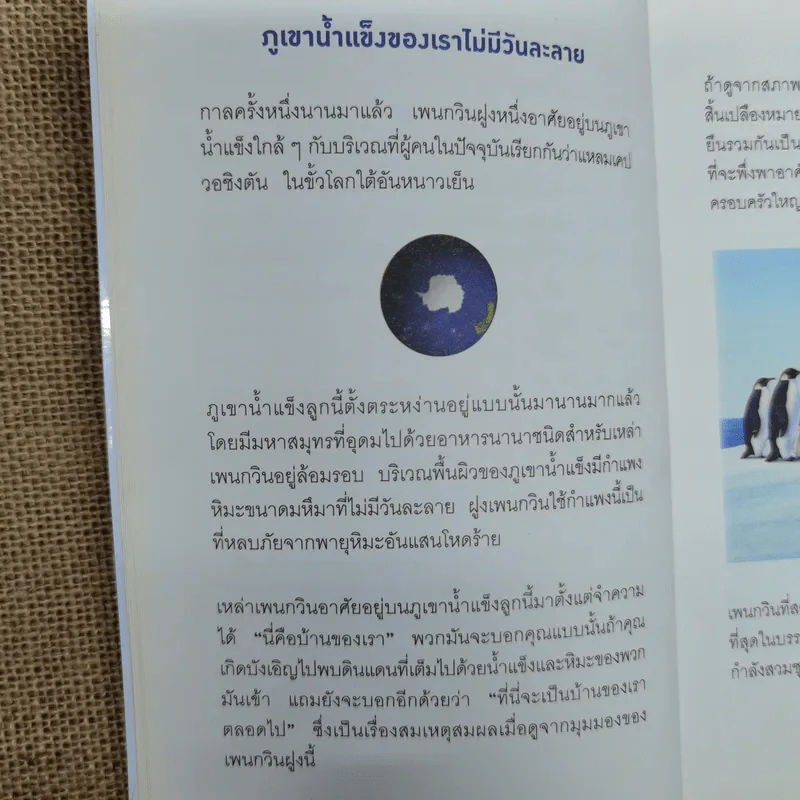 เมื่อทุกอย่างปกติดีก็ถึงเวลาที่ต้องเปลี่ยนแปลง Our Iceberg Is Melting - John Kotter, Holger Rathgeber รูปที่ 11
