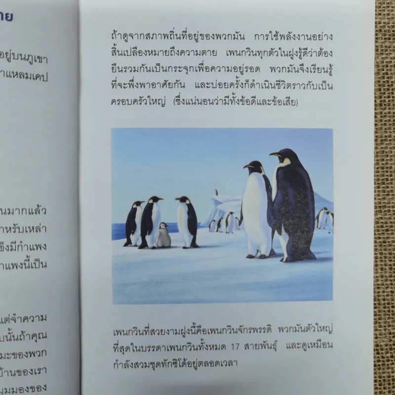 เมื่อทุกอย่างปกติดีก็ถึงเวลาที่ต้องเปลี่ยนแปลง Our Iceberg Is Melting - John Kotter, Holger Rathgeber รูปที่ 12