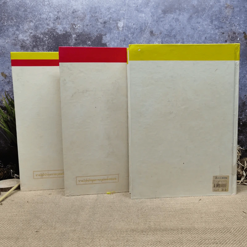 ประมวลกฎหมายแพ่งและพาณิชย์ บรรพ 1 เล่ม 1-3 - ศาสตราจารย์ประภาศน์ อวยชัย รูปที่ 6