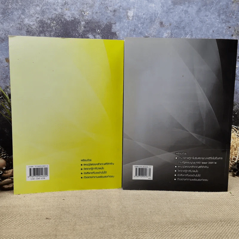 คำอธิบายประมวลกฎหมายวิธีพิจารณาความอาญา เล่ม 1-2 - ธานิศ เกศวพิทักษ์ รูปที่ 4