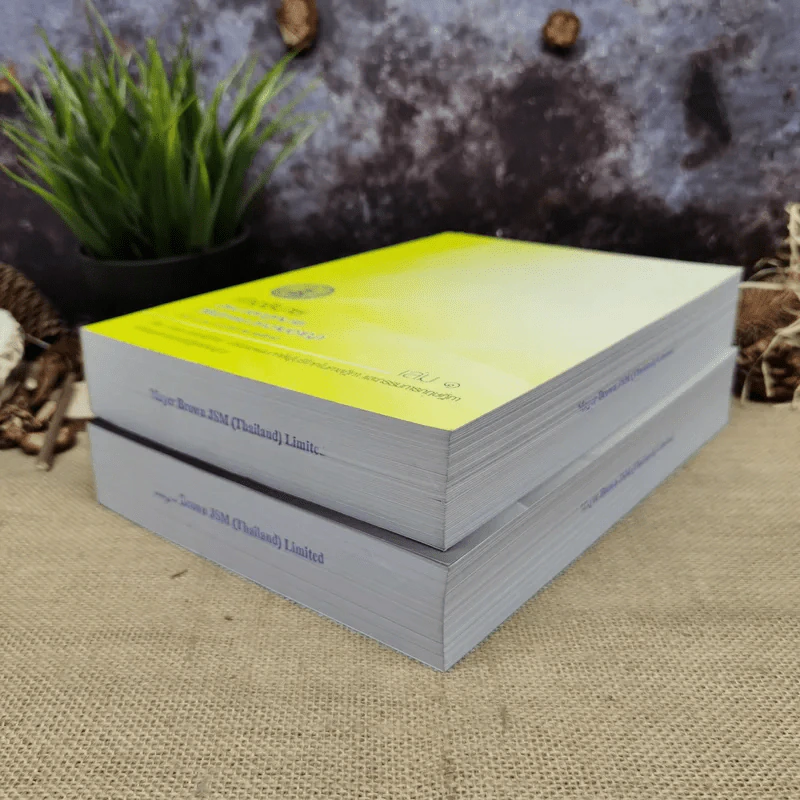 คำอธิบายประมวลกฎหมายวิธีพิจารณาความอาญา เล่ม 1-2 - ธานิศ เกศวพิทักษ์ รูปที่ 3