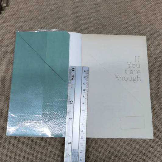 If You Care Enough - วิไลรัตน์ เอมเอี่ยม รูปที่ 5
